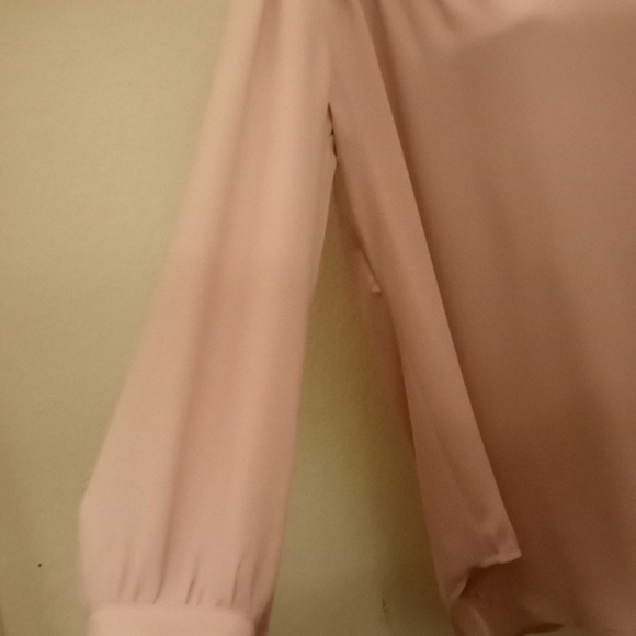 Laurie Felt Los Angeles Chiffon Blouse - Picture 4 of 12